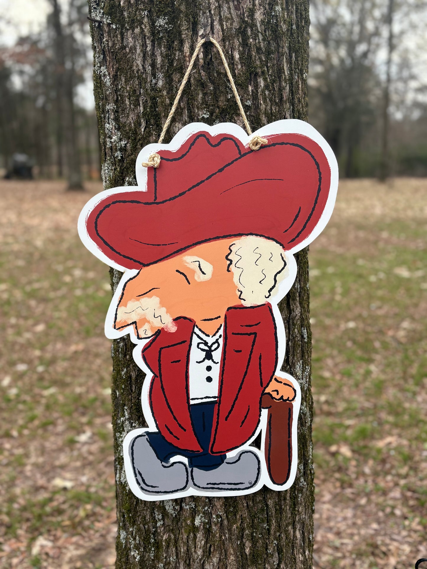 Colonel Reb Door Hanger